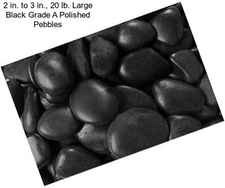 2 in. to 3 in., 20 lb. Large Black Grade A Polished Pebbles