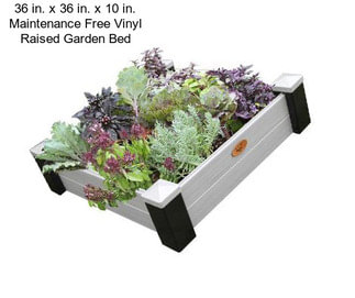 36 in. x 36 in. x 10 in. Maintenance Free Vinyl Raised Garden Bed