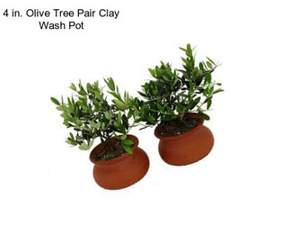 4 in. Olive Tree Pair Clay Wash Pot