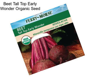 Beet Tall Top Early Wonder Organic Seed