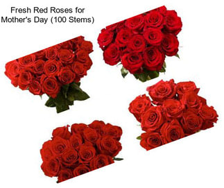 Fresh Red Roses for Mother\'s Day (100 Stems)