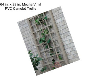 64 in. x 28 in. Mocha Vinyl PVC Camelot Trellis