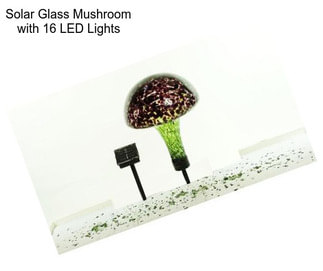 Solar Glass Mushroom with 16 LED Lights