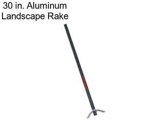 30 in. Aluminum Landscape Rake