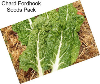 Chard Fordhook Seeds Pack