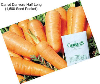 Carrot Danvers Half Long (1,500 Seed Packet)