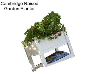 Cambridge Raised Garden Planter