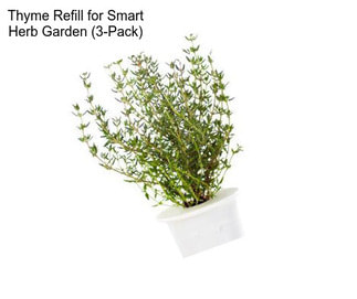 Thyme Refill for Smart Herb Garden (3-Pack)