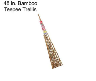 48 in. Bamboo Teepee Trellis