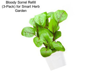 Bloody Sorrel Refill (3-Pack) for Smart Herb Garden