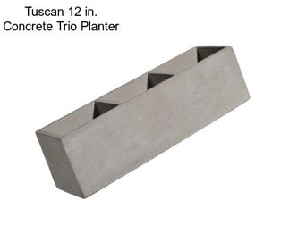 Tuscan 12 in. Concrete Trio Planter