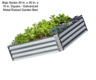 Bajo Series 40 in. x 40 in. x 10 in. Square - Galvanized Metal Raised Garden Bed