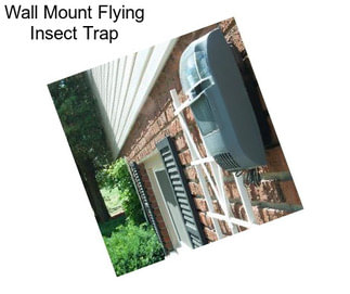Wall Mount Flying Insect Trap