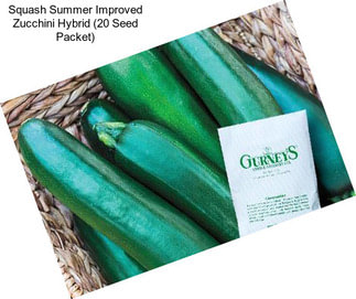 Squash Summer Improved Zucchini Hybrid (20 Seed Packet)