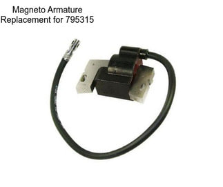 Magneto Armature Replacement for 795315