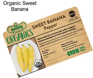 Organic Sweet Banana