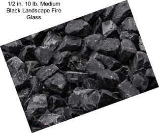 1/2 in. 10 lb. Medium Black Landscape Fire Glass