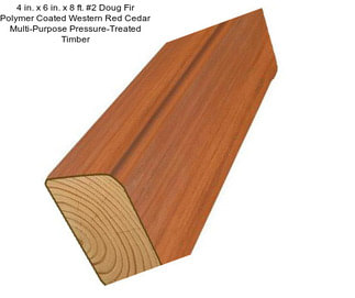 4 in. x 6 in. x 8 ft. #2 Doug Fir Polymer Coated Western Red Cedar Multi-Purpose Pressure-Treated Timber