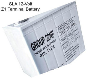 SLA 12-Volt Z1 Terminal Battery