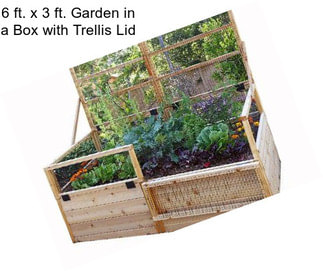 6 ft. x 3 ft. Garden in a Box with Trellis Lid