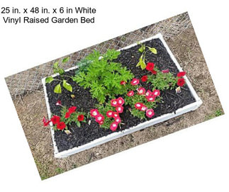 25 in. x 48 in. x 6 in White Vinyl Raised Garden Bed