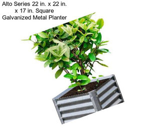 Alto Series 22 in. x 22 in. x 17 in. Square Galvanized Metal Planter