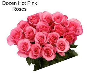 Dozen Hot Pink Roses