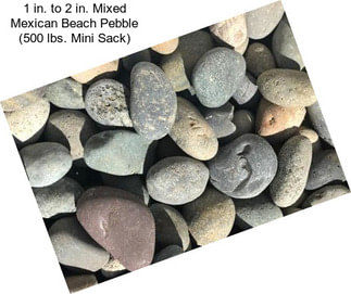 1 in. to 2 in. Mixed Mexican Beach Pebble (500 lbs. Mini Sack)