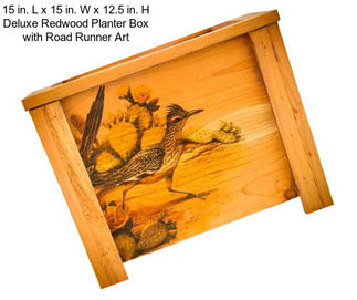 15 in. L x 15 in. W x 12.5 in. H Deluxe Redwood Planter Box with Road Runner Art