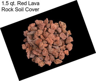 1.5 qt. Red Lava Rock Soil Cover