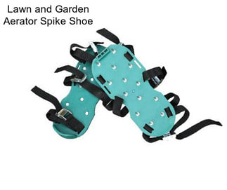 Lawn and Garden Aerator Spike Shoe