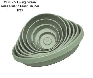 11 in x 2 Living Green Terra Plastic Plant Saucer Tray