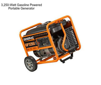 3,250-Watt Gasoline Powered Portable Generator