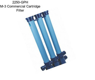 2250-GPH M-3 Commercial Cartridge Filter