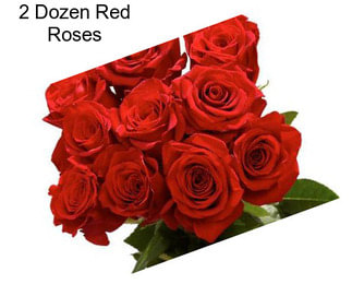 2 Dozen Red Roses