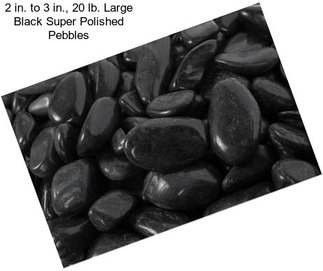 2 in. to 3 in., 20 lb. Large Black Super Polished Pebbles