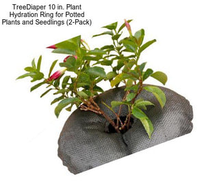 TreeDiaper 10 in. Plant Hydration Ring for Potted Plants and Seedlings (2-Pack)