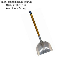 36 in. Handle Blue Taurus 18 in. x 14-1/2 in. Aluminum Scoop