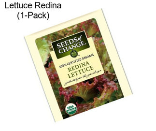 Lettuce Redina (1-Pack)