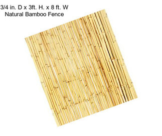 3/4 in. D x 3ft. H. x 8 ft. W Natural Bamboo Fence