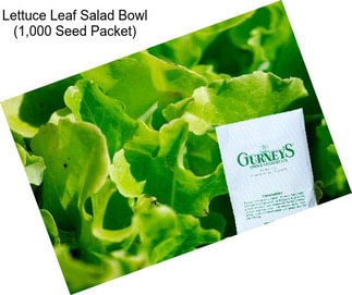 Lettuce Leaf Salad Bowl (1,000 Seed Packet)