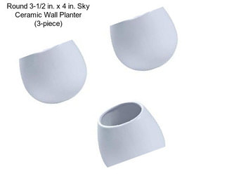 Round 3-1/2 in. x 4 in. Sky Ceramic Wall Planter (3-piece)