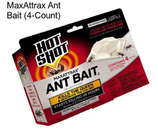 MaxAttrax Ant Bait (4-Count)