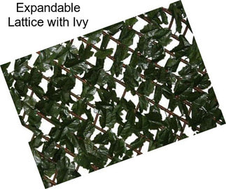 Expandable Lattice with Ivy