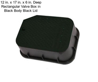 12 in. x 17 in. x 6 in. Deep Rectangular Valve Box in Black Body Black Lid