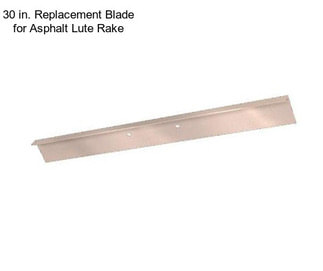 30 in. Replacement Blade for Asphalt Lute Rake