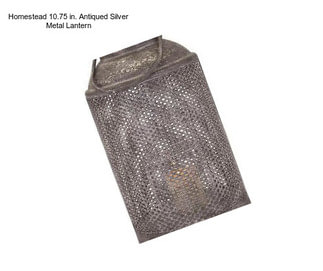 Homestead 10.75 in. Antiqued Silver Metal Lantern