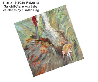 11 in. x 15-1/2 in. Polyester Sandhill Crane with baby 2-Sided 2-Ply Garden Flag