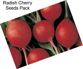 Radish Cherry Seeds Pack