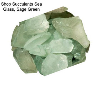 Shop Succulents Sea Glass, Sage Green